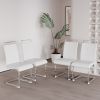 Modern Dining Chairs